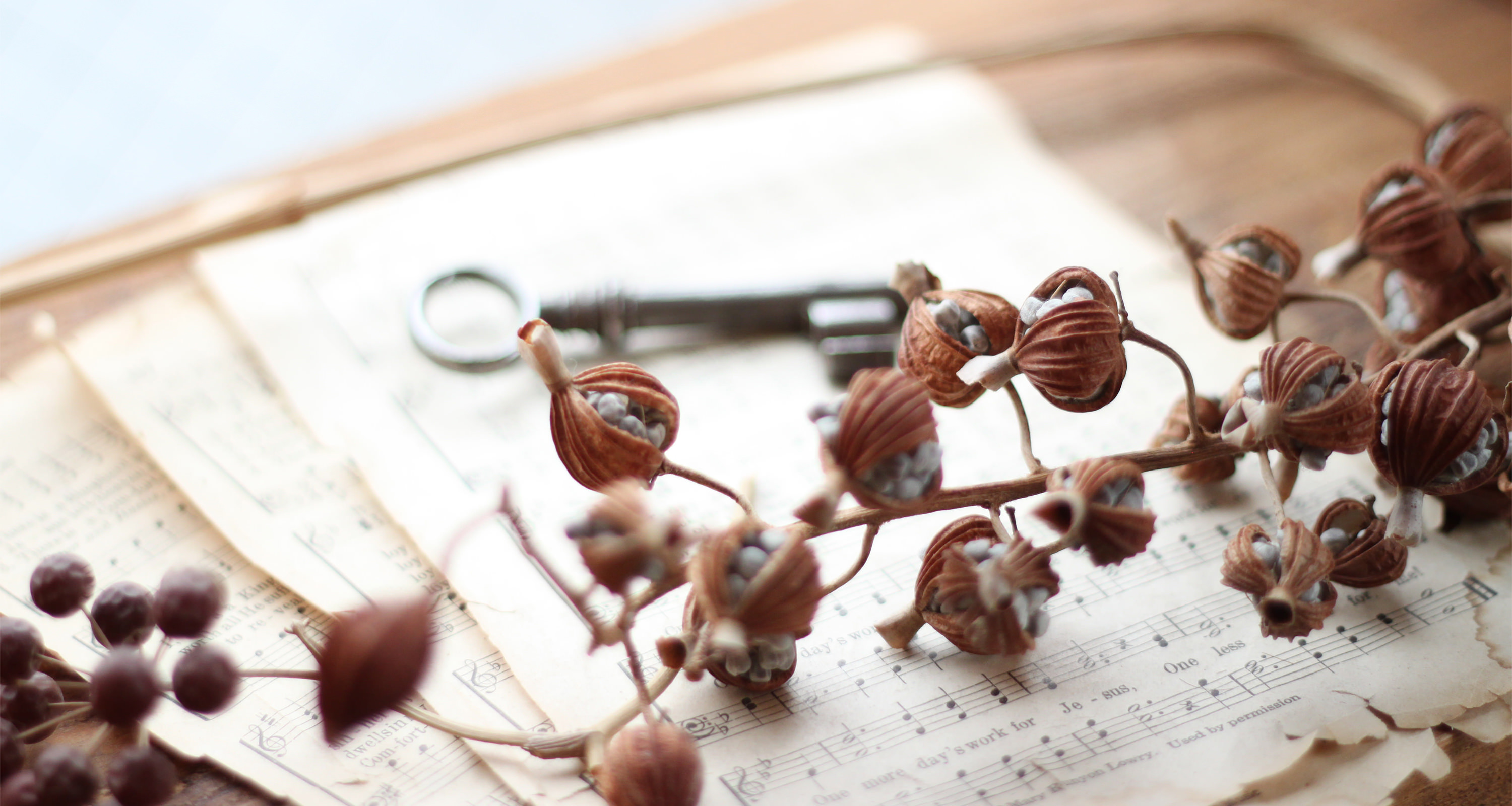 美容室treeの内観の写真